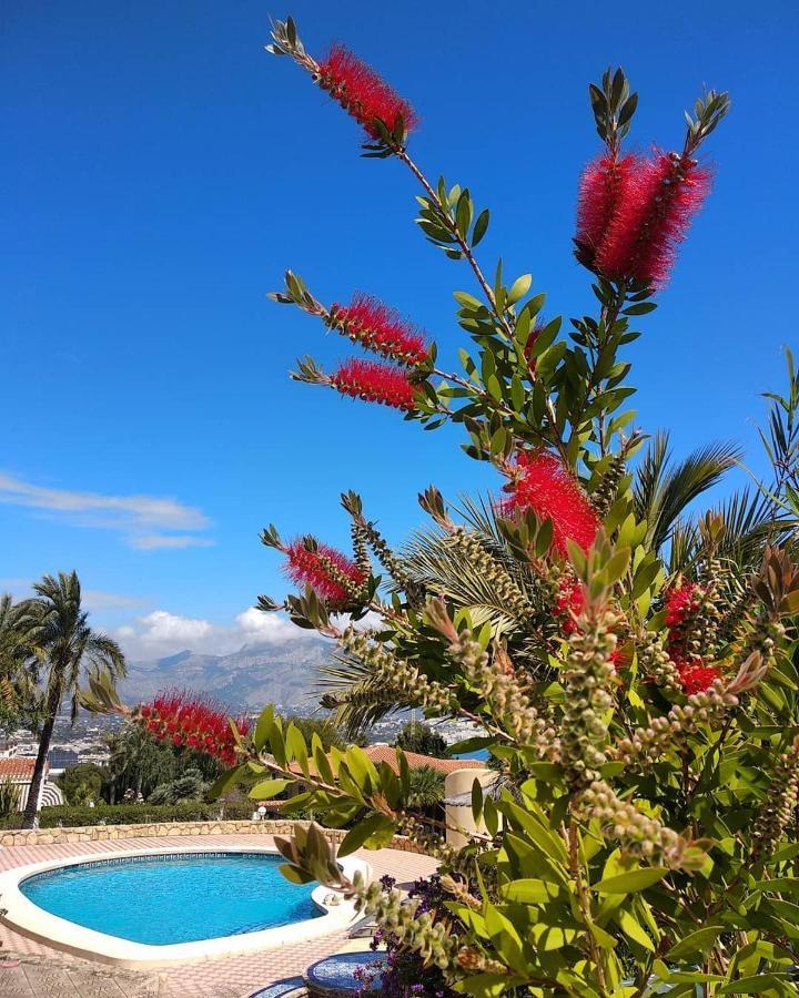 Albir Resort El Albir Extérieur photo